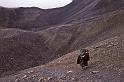 WT 1000 175-18 Nepal